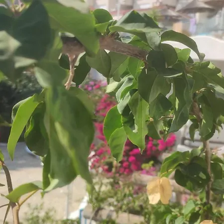 Sea Breeze Bougainville Bay Apartamento Sarandë