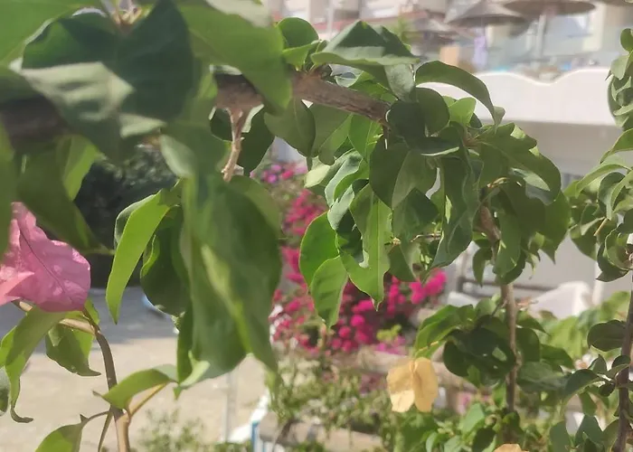 Sea Breeze Bougainville Bay 公寓 Sarandë